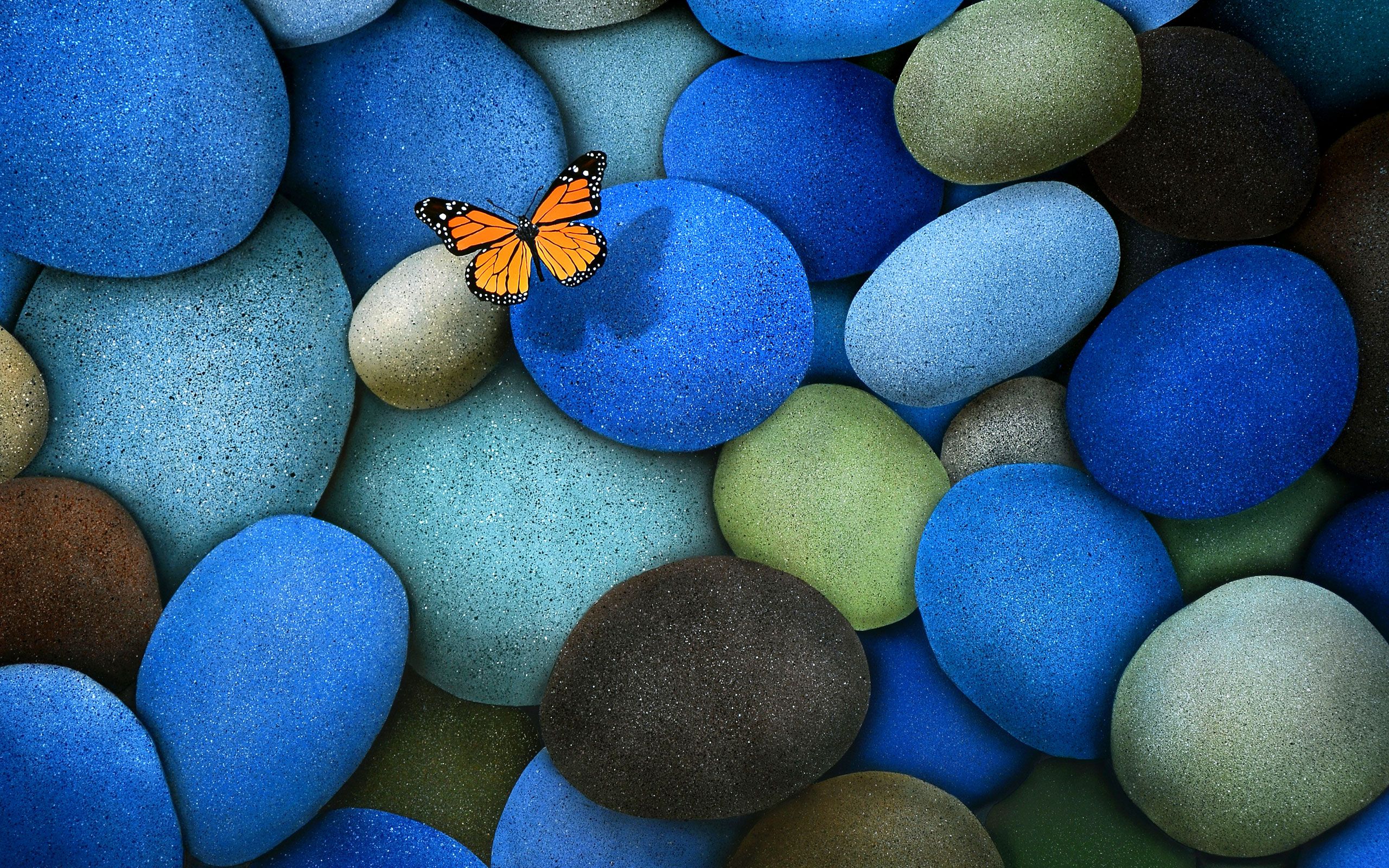 butterfly wallpaper for pc