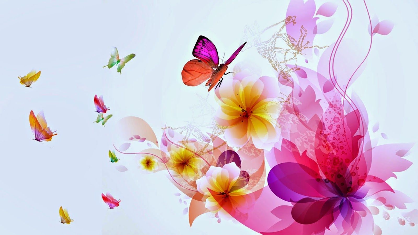 butterfly with flowers wallpapers