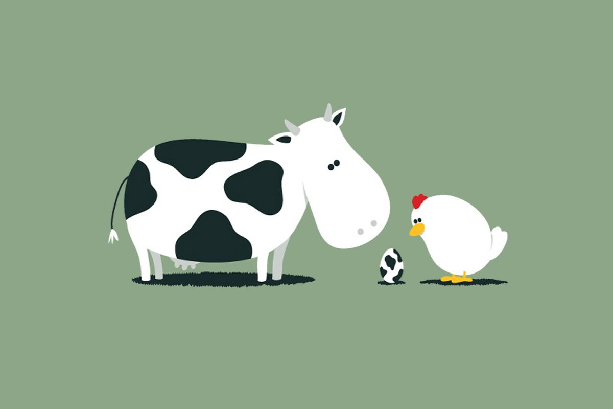 google images cow