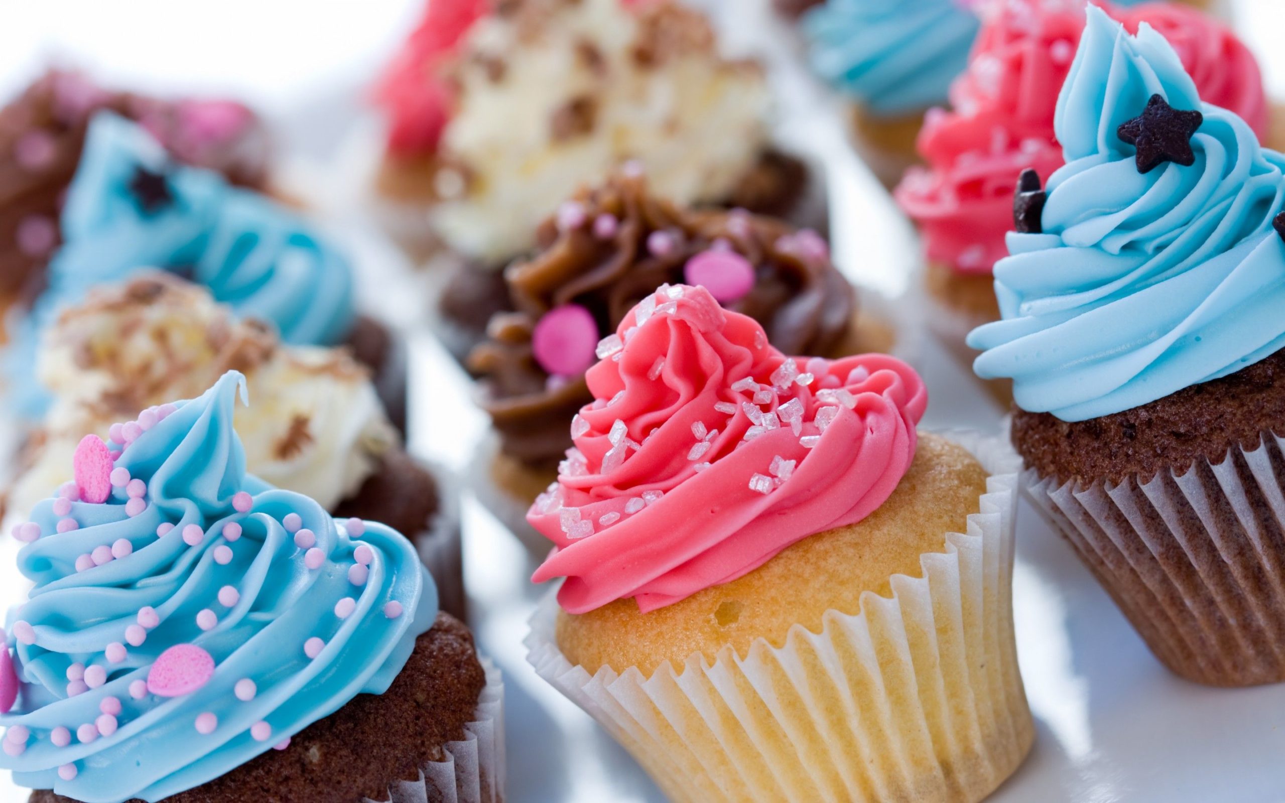 cupcake pictures