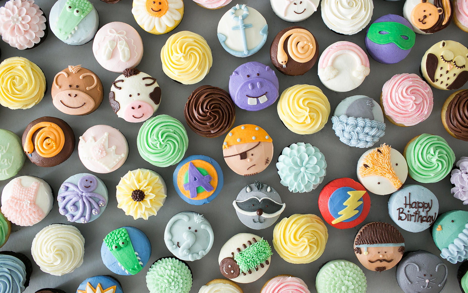 cupcake stock photo