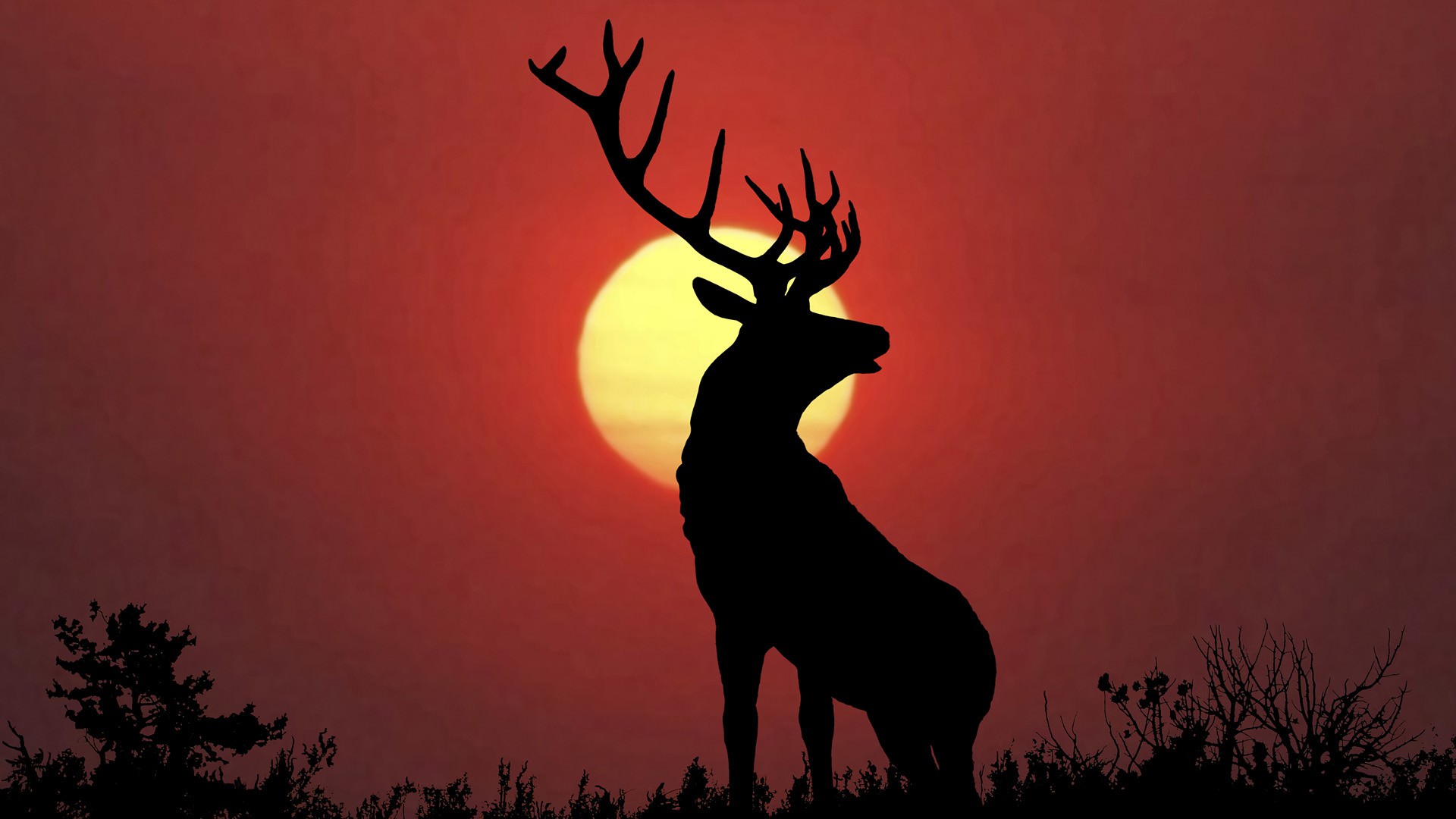 deer wallpaper iphone