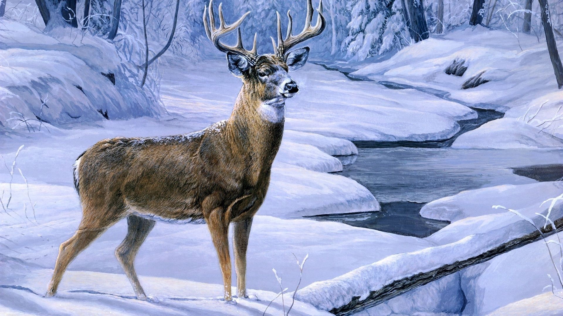 deer images free download