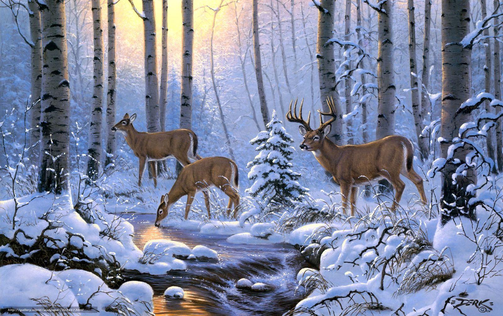 deer backgrounds for iphone