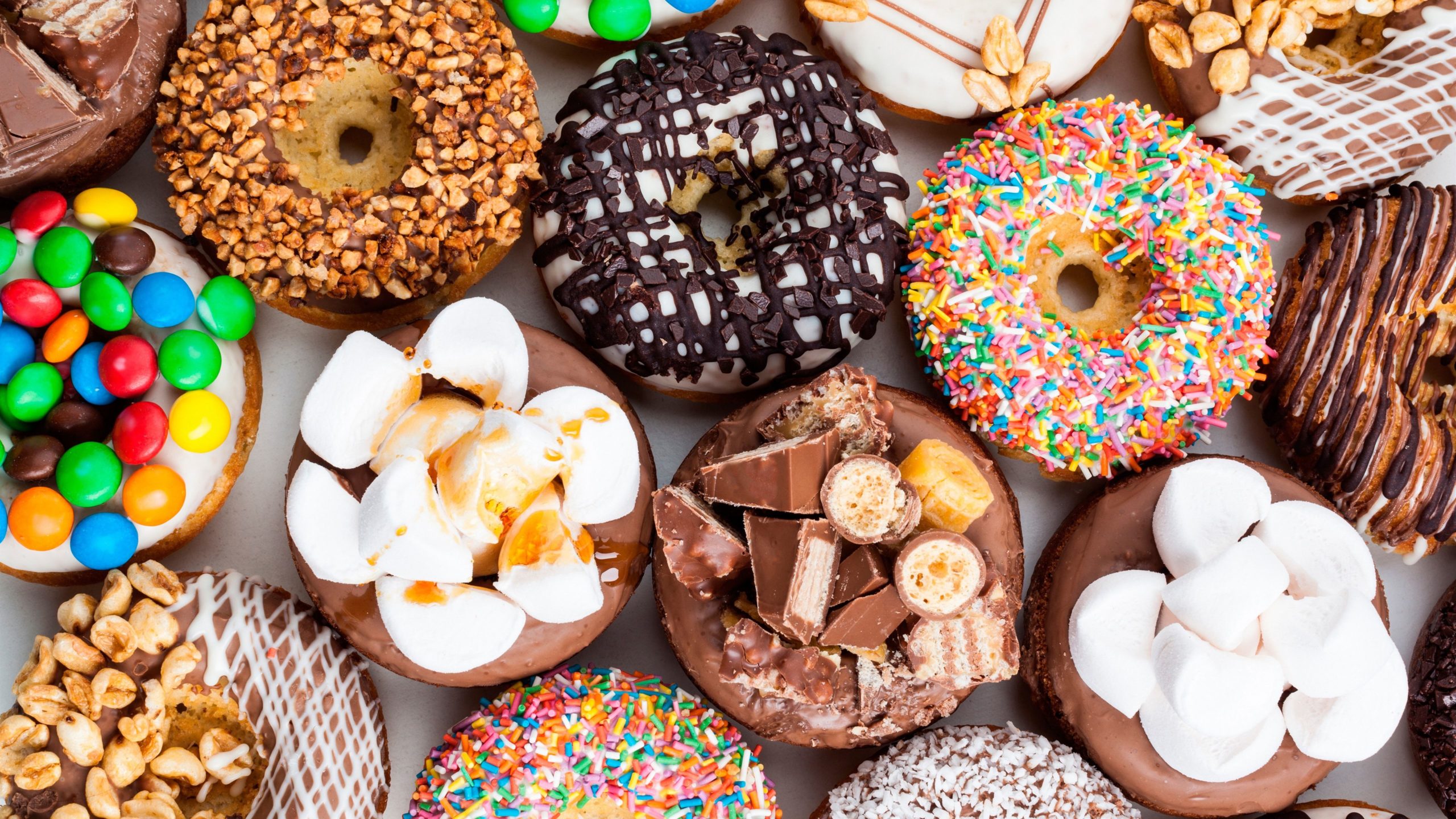 donut stock images