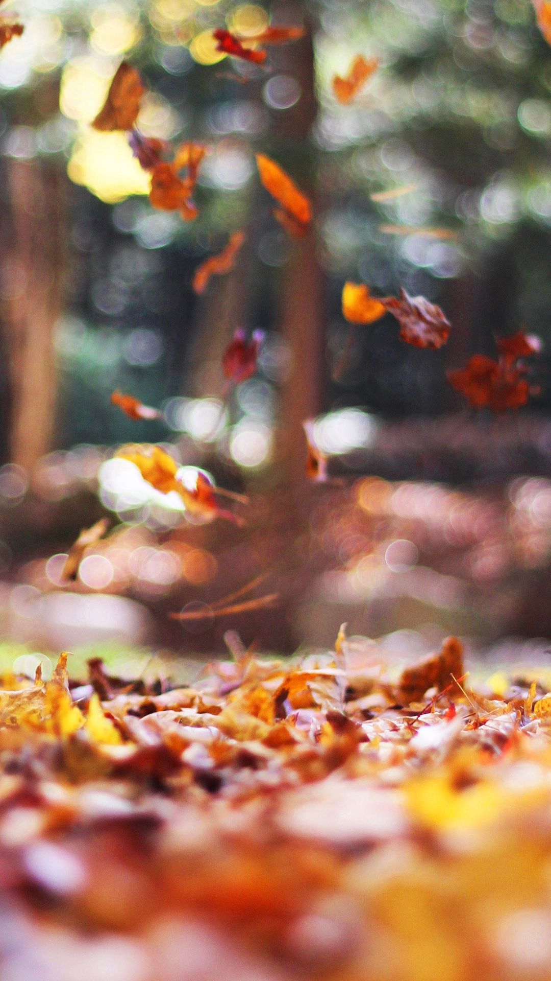 fall iphone background, fall iphone 5 wallpaper