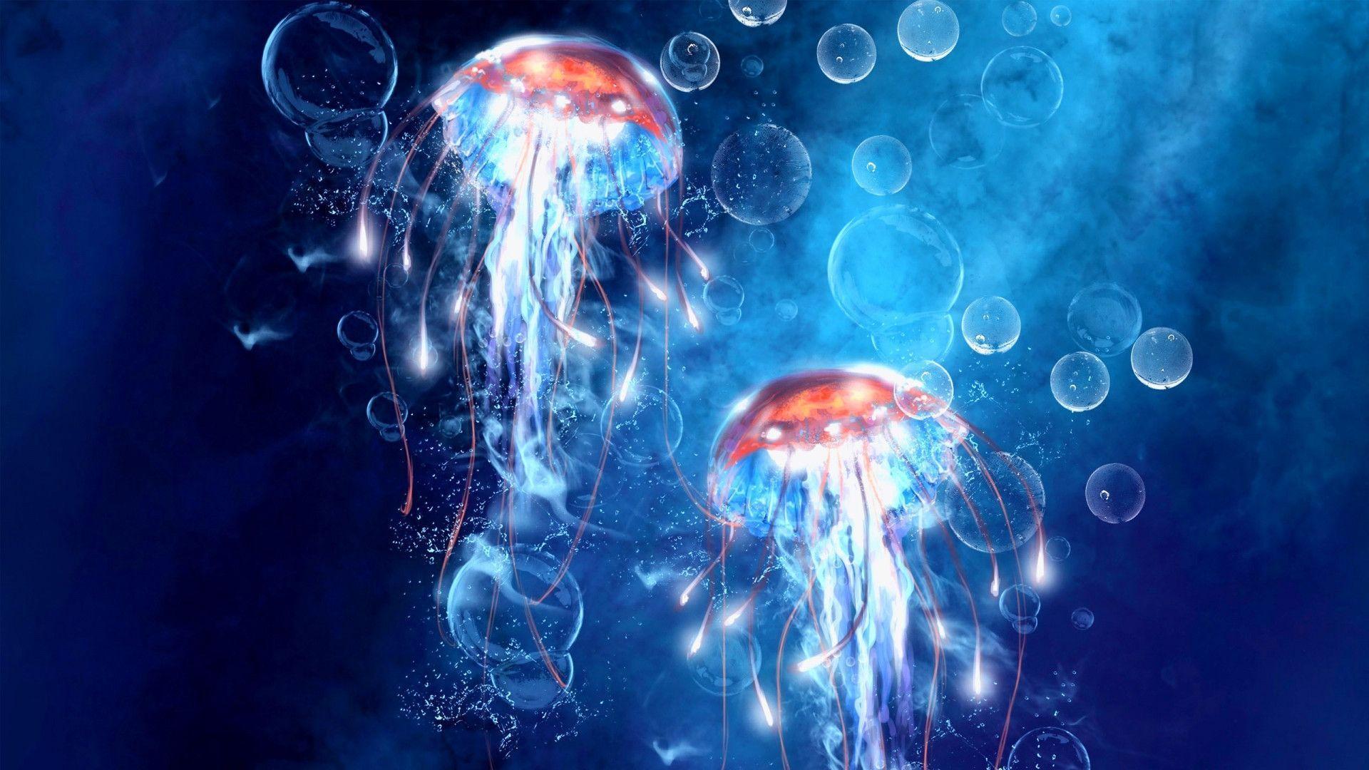 Jellyfish Wallpapers • TrumpWallpapers