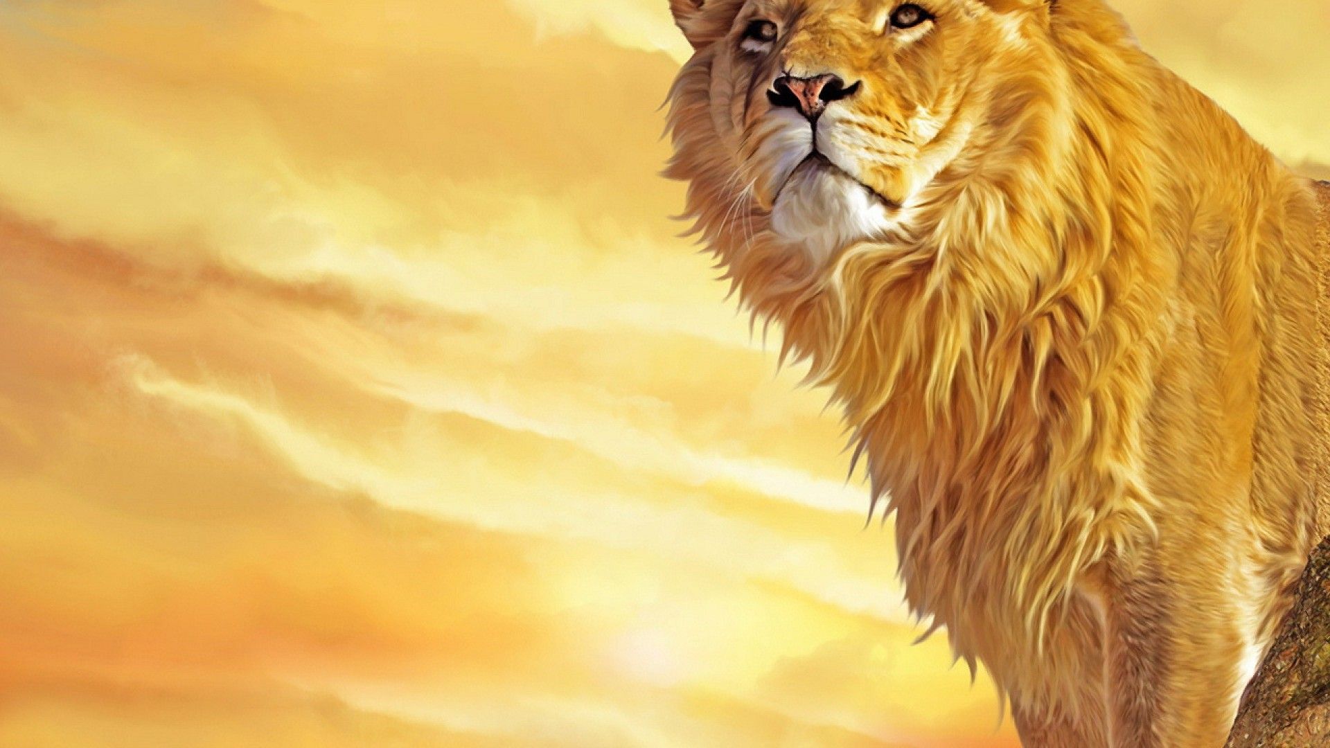 lion wallpapers free download