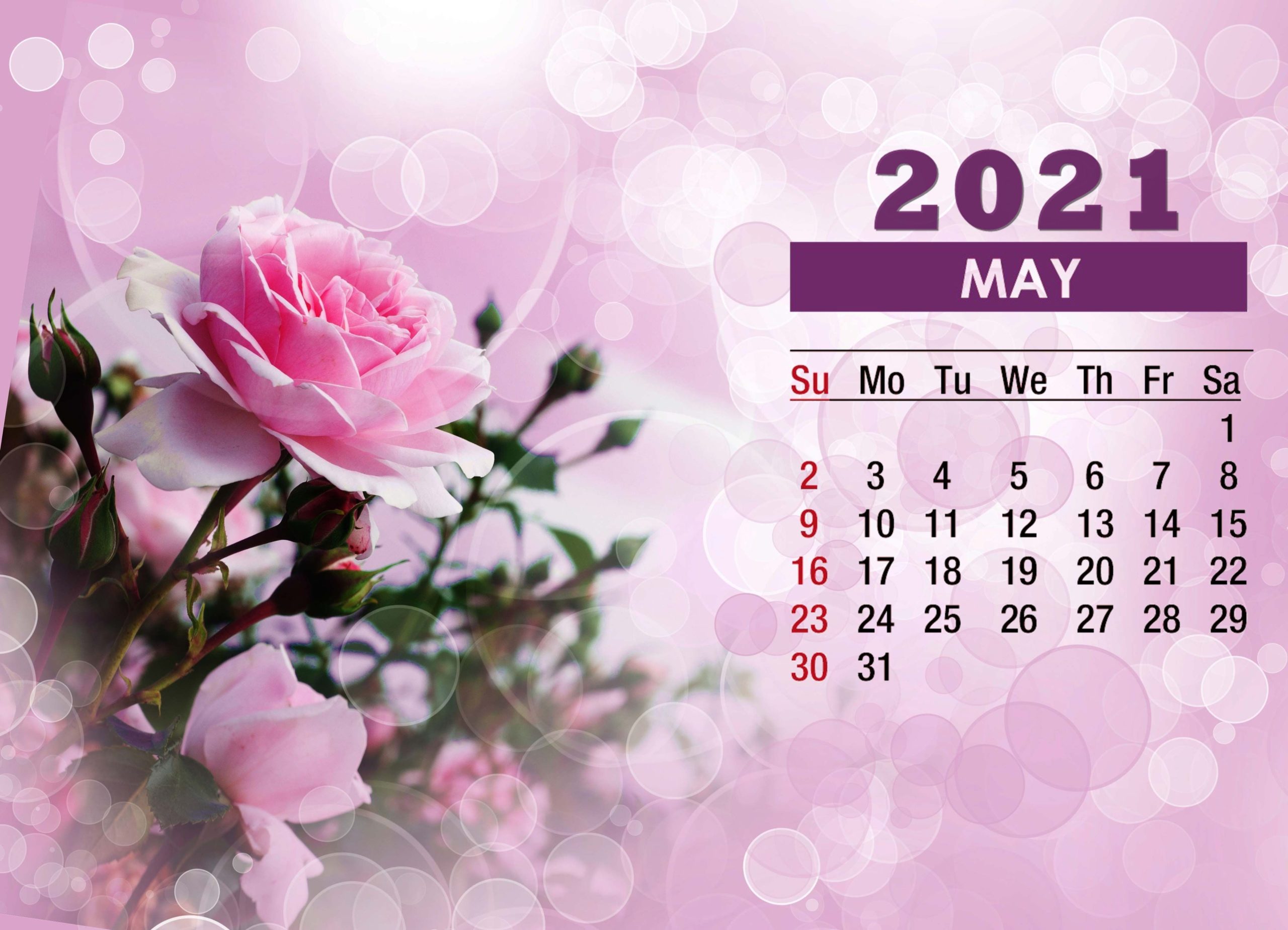may 2021 calendar with holidays usa