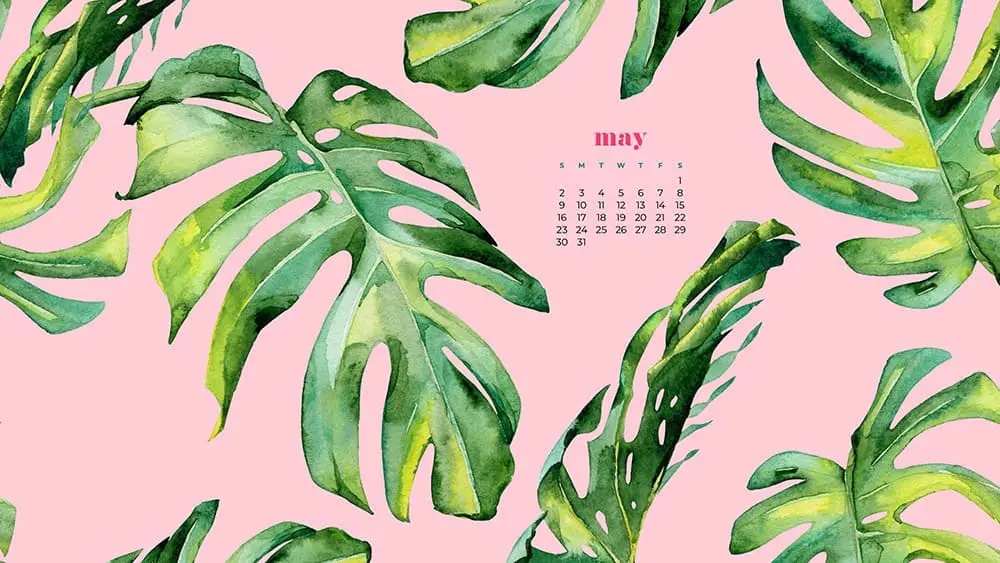 may 2021 calendar cute wallpapers
