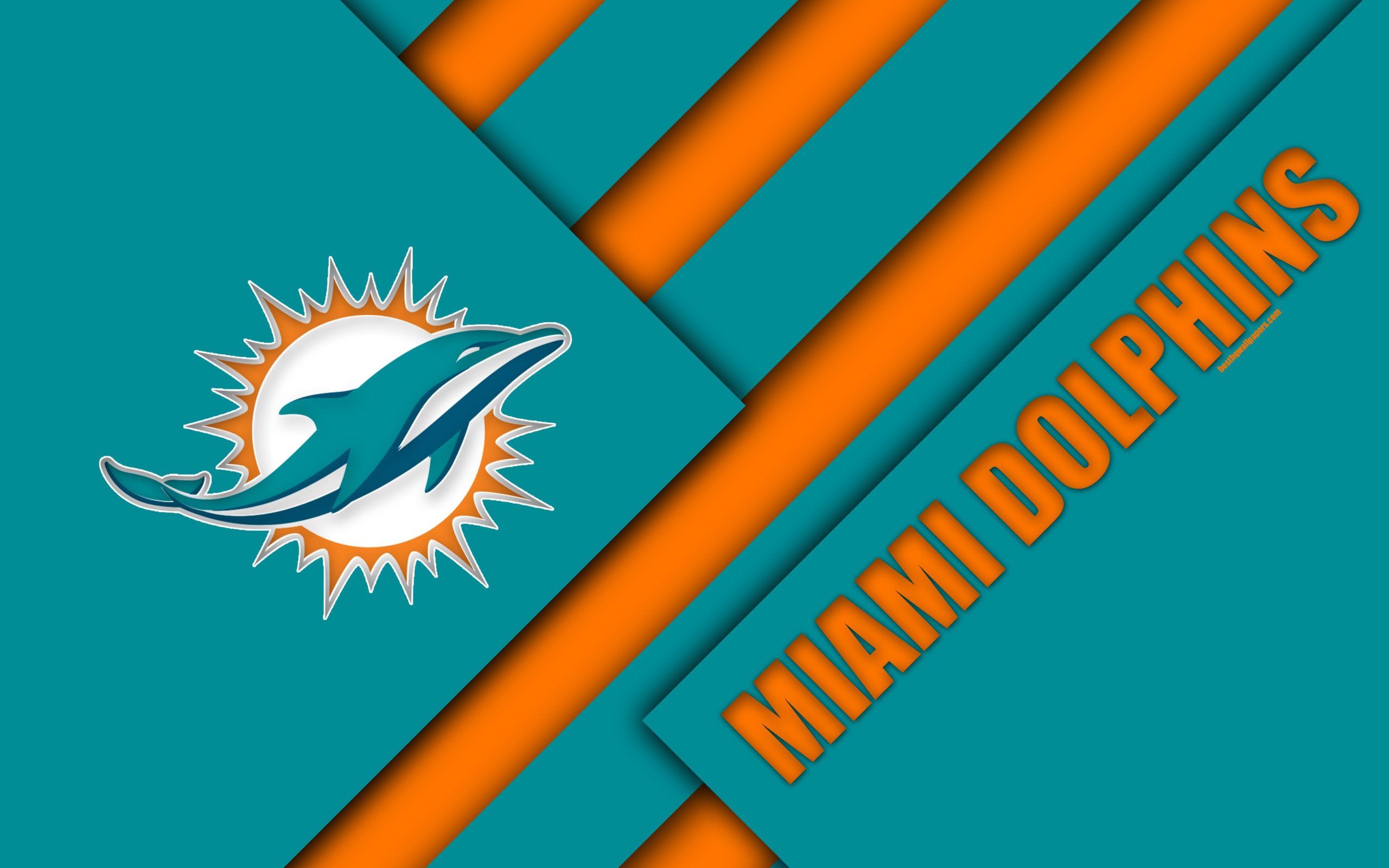 miami dolphins screen background