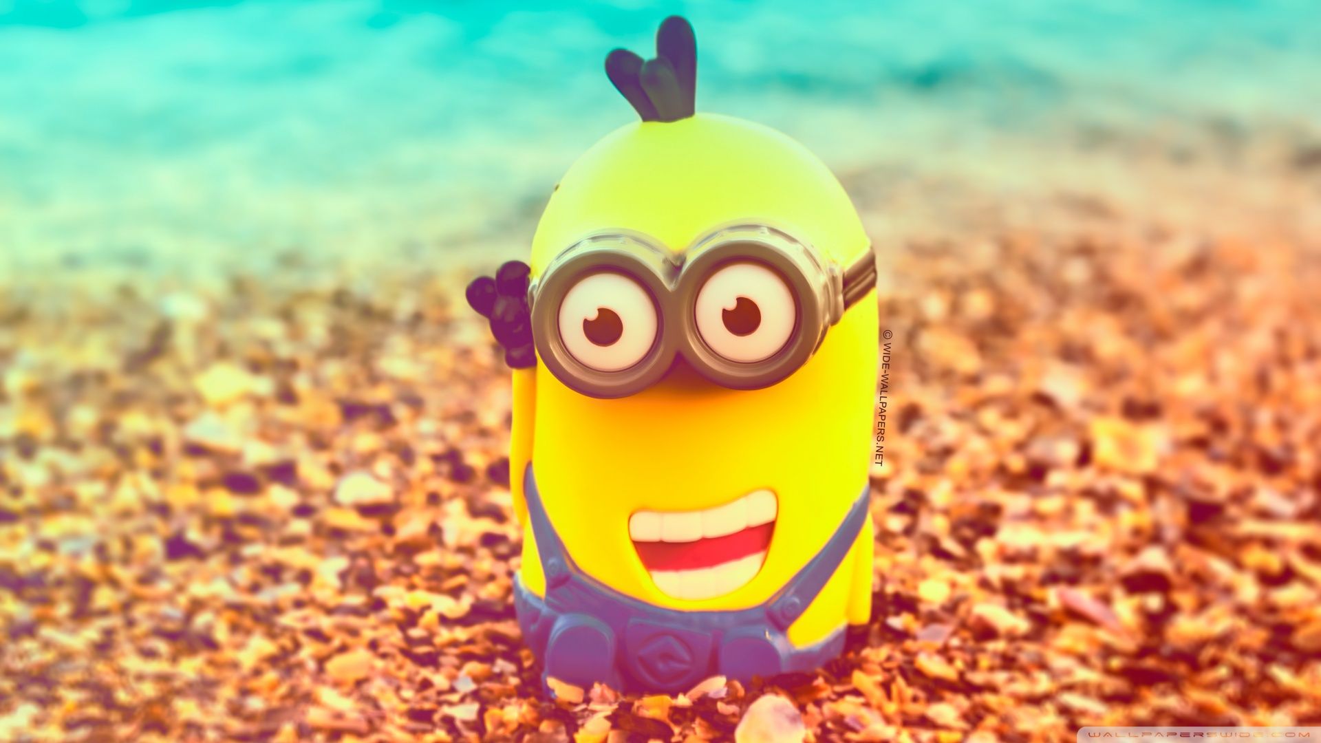 3 minions images