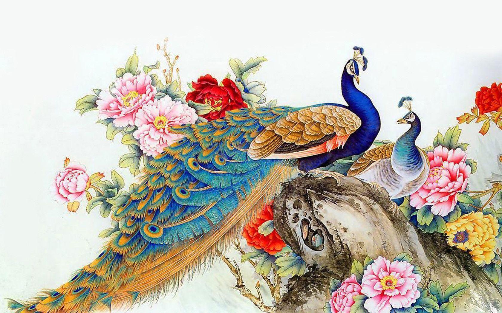 peacock wallpaper backgrounds