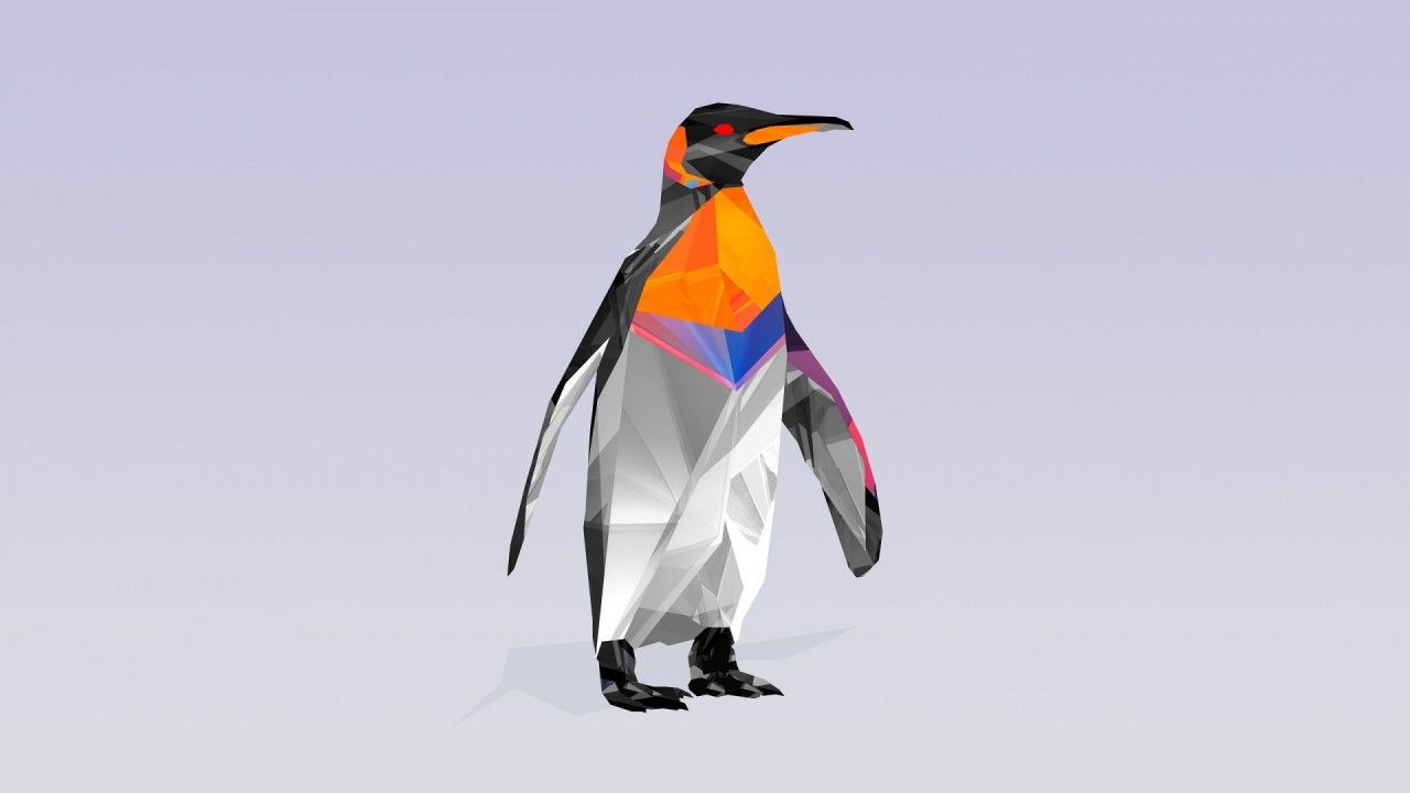 penguin stock photo