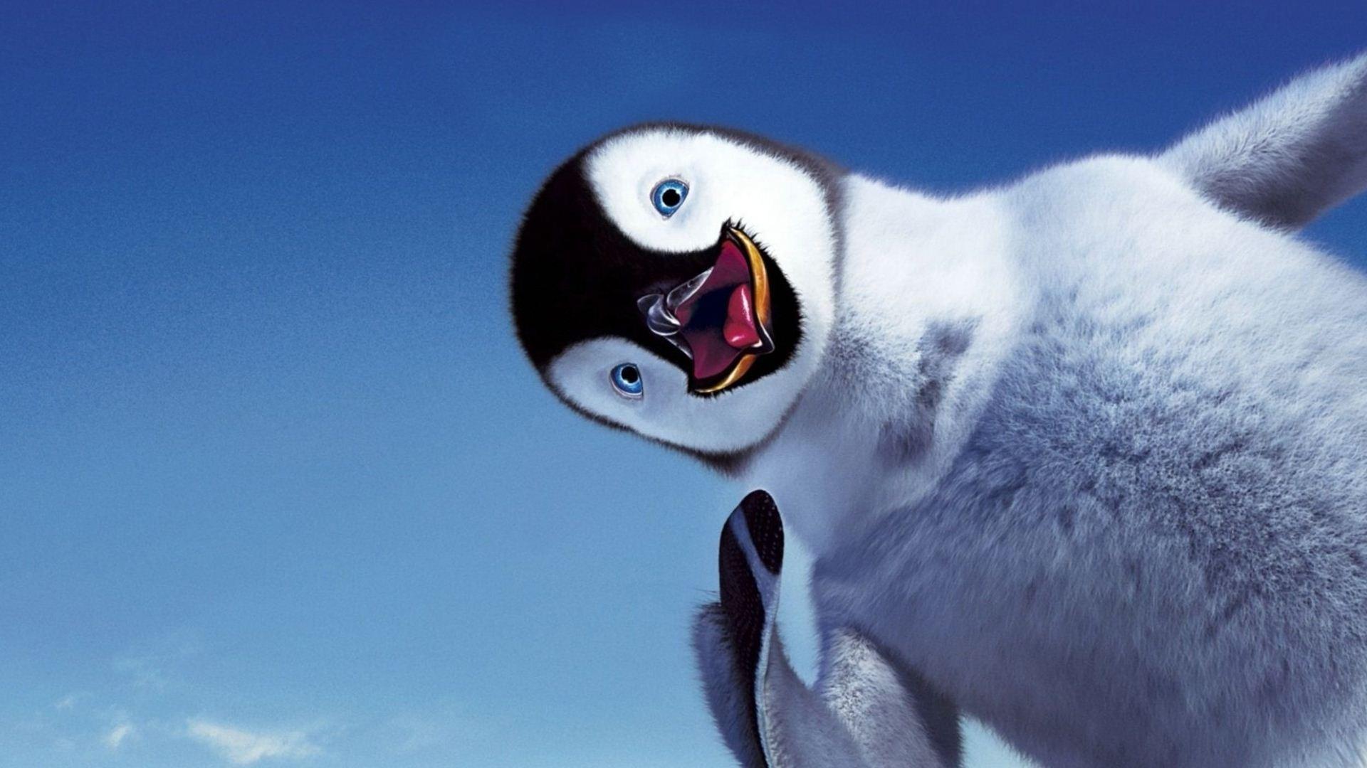 cute penguin wallpaper