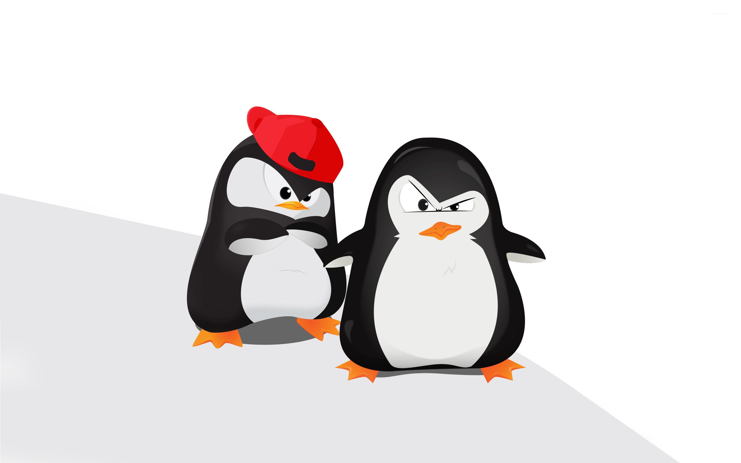 cool penguin wallpapers