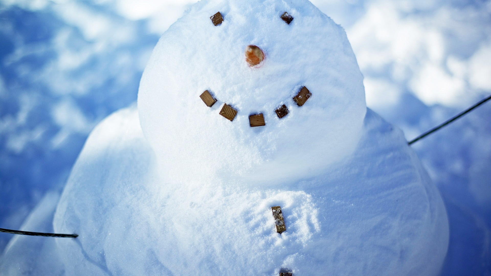 fotos de snowman