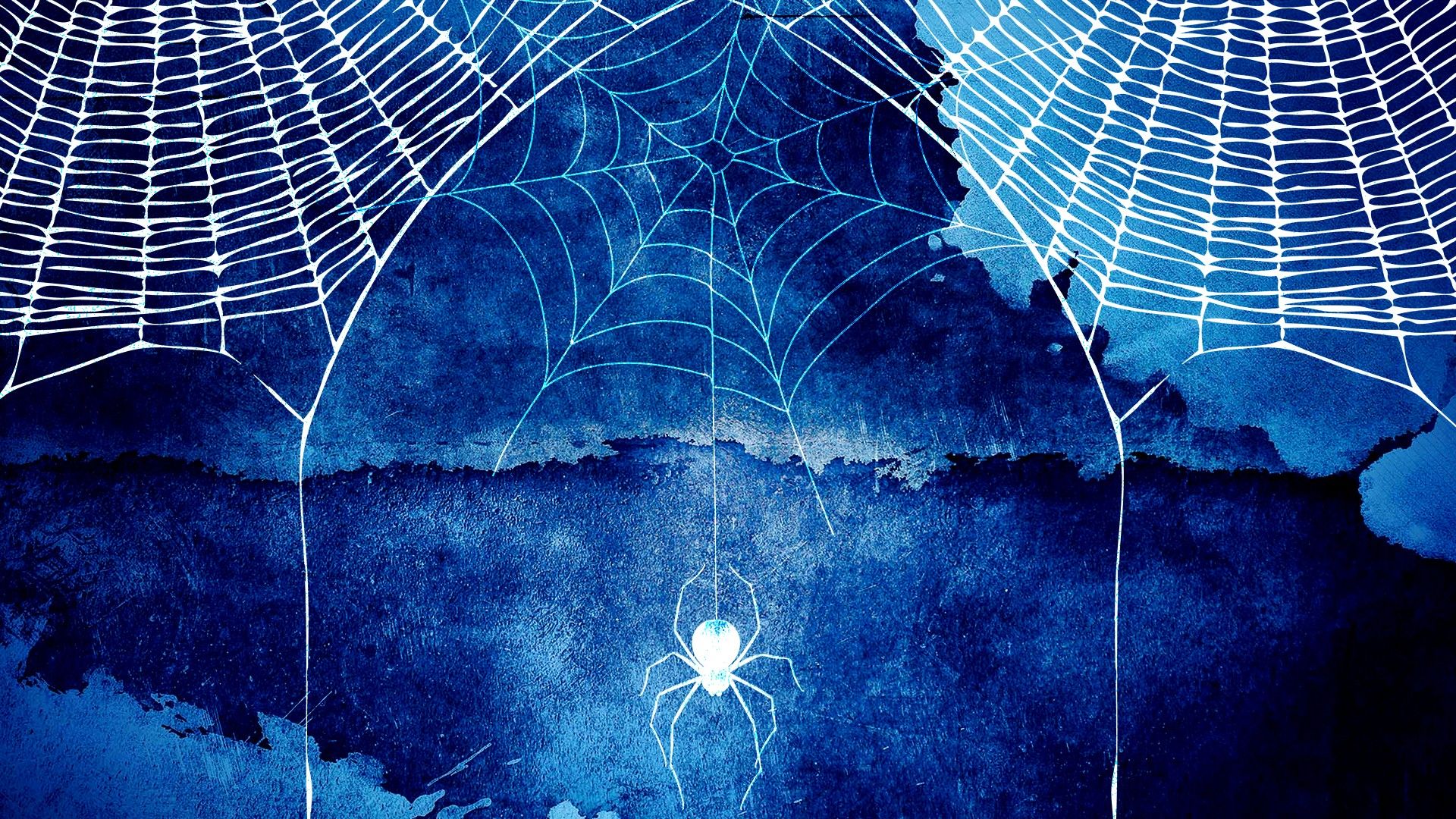 spider web wallpaper hd