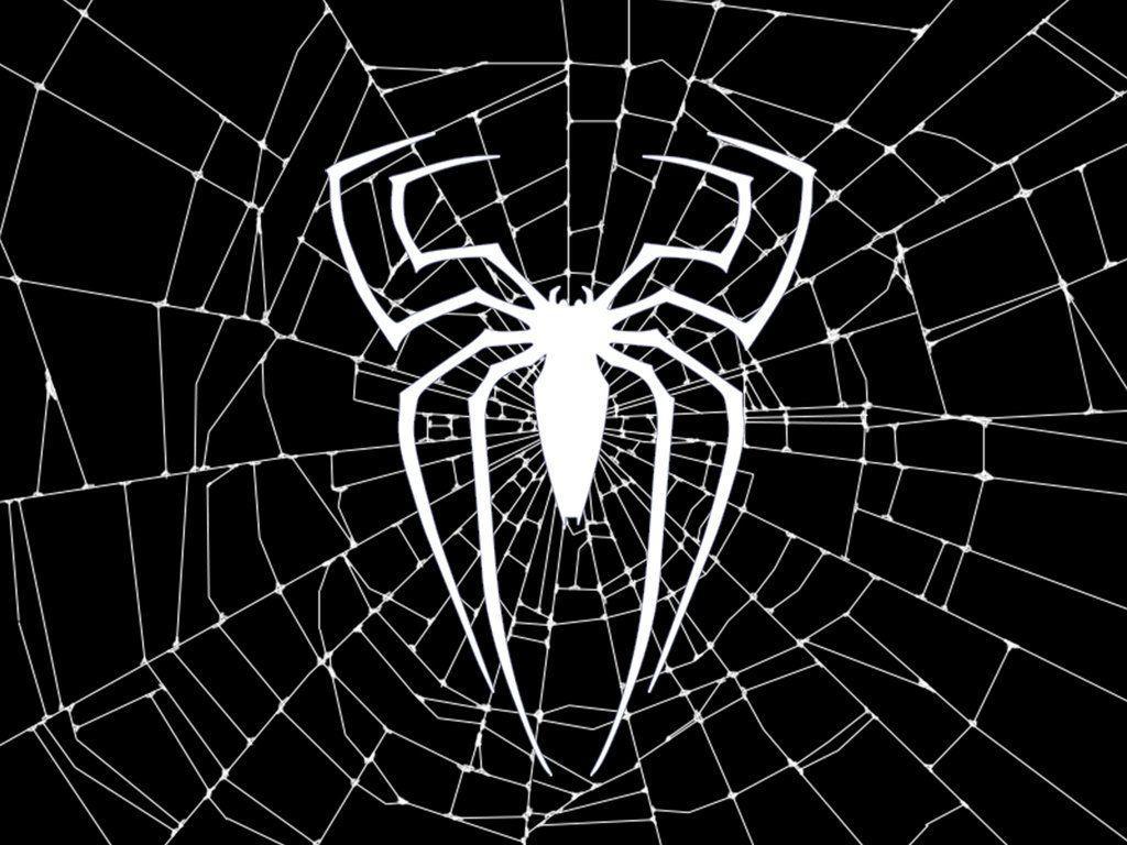 spider web wallpaper black and white