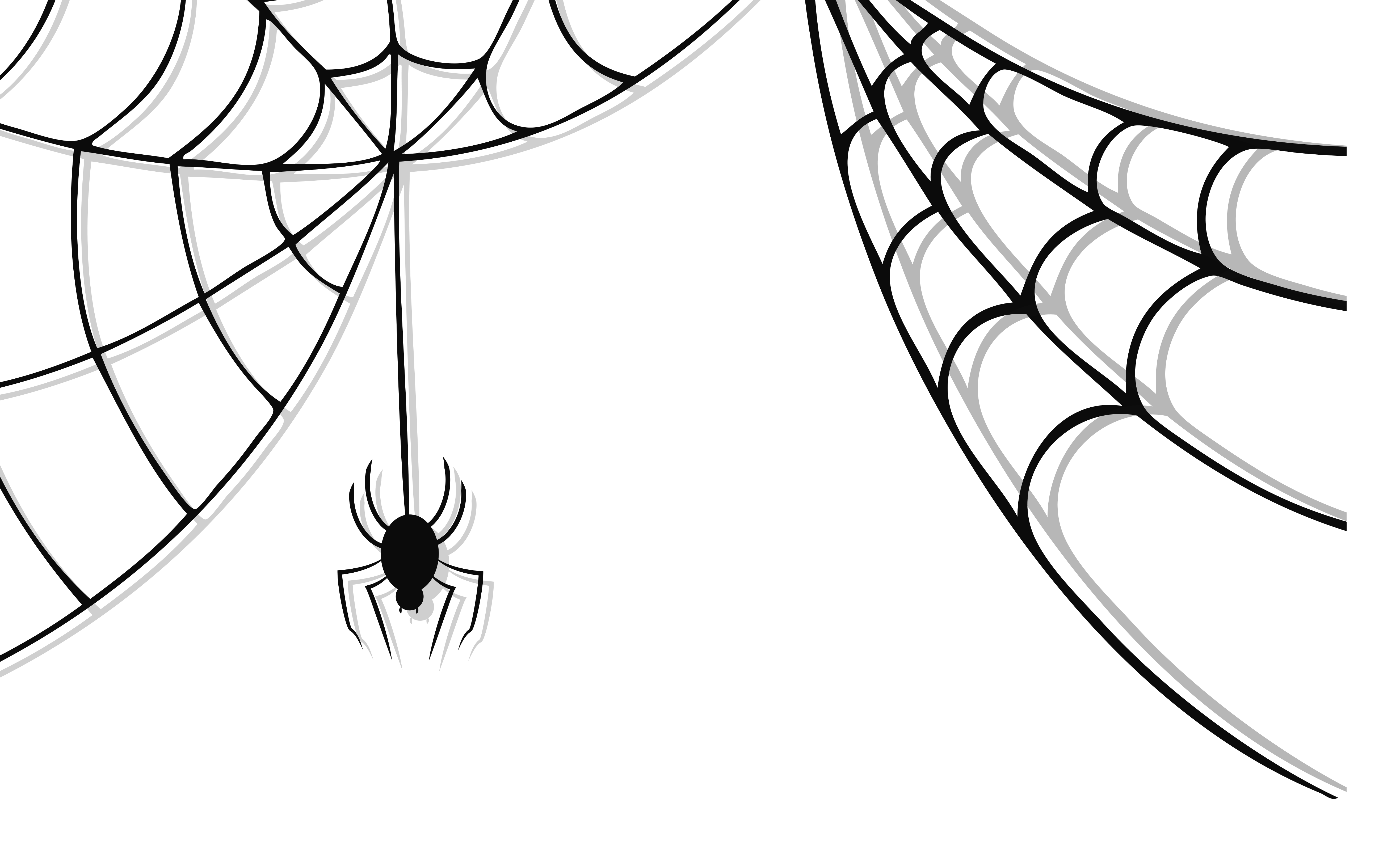 wallpaper with spider web