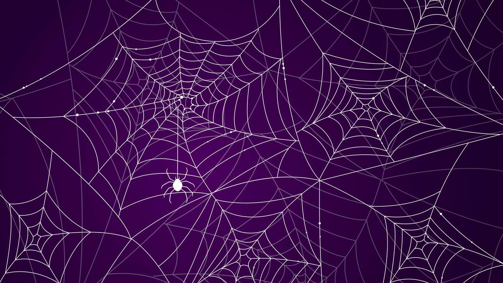 3d spider web wallpaper