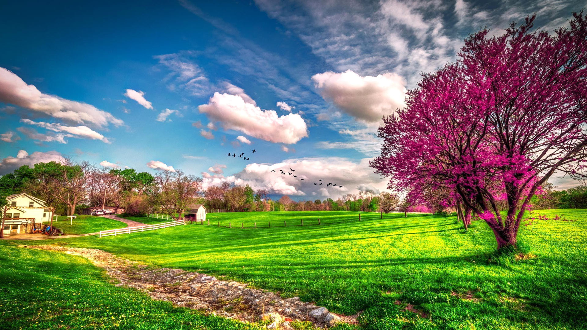 spring backgrounds hd