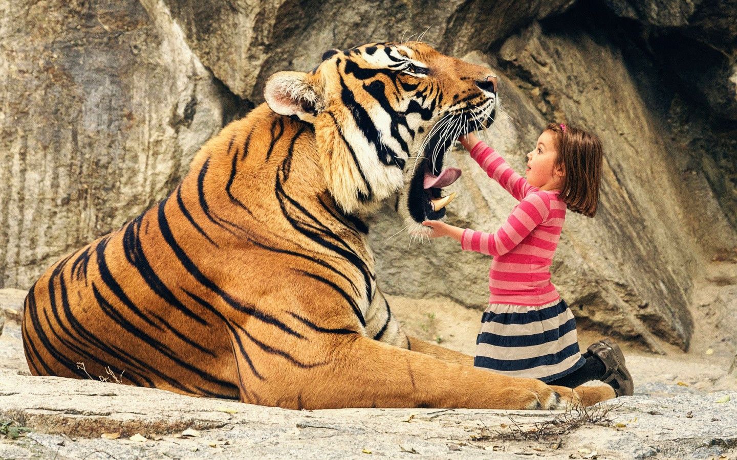 www tiger image