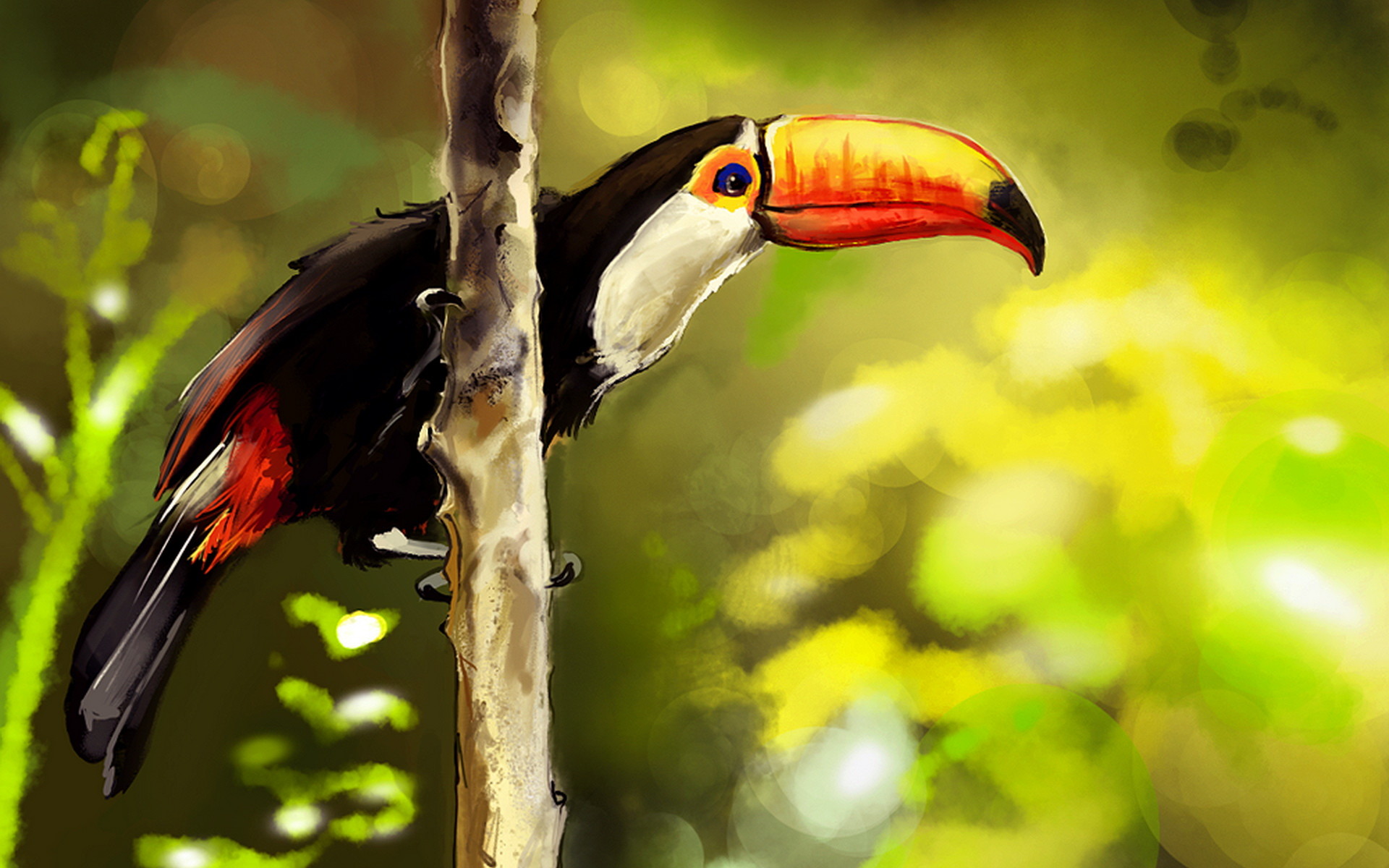 pictures of a toucan