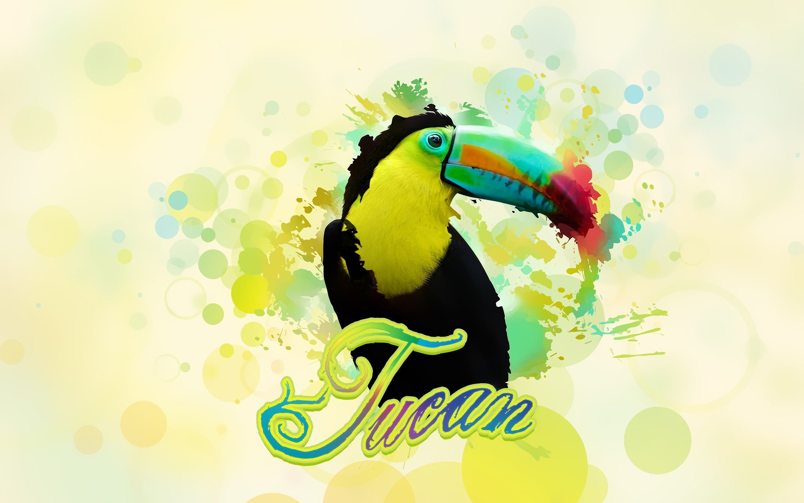 toucan photos free