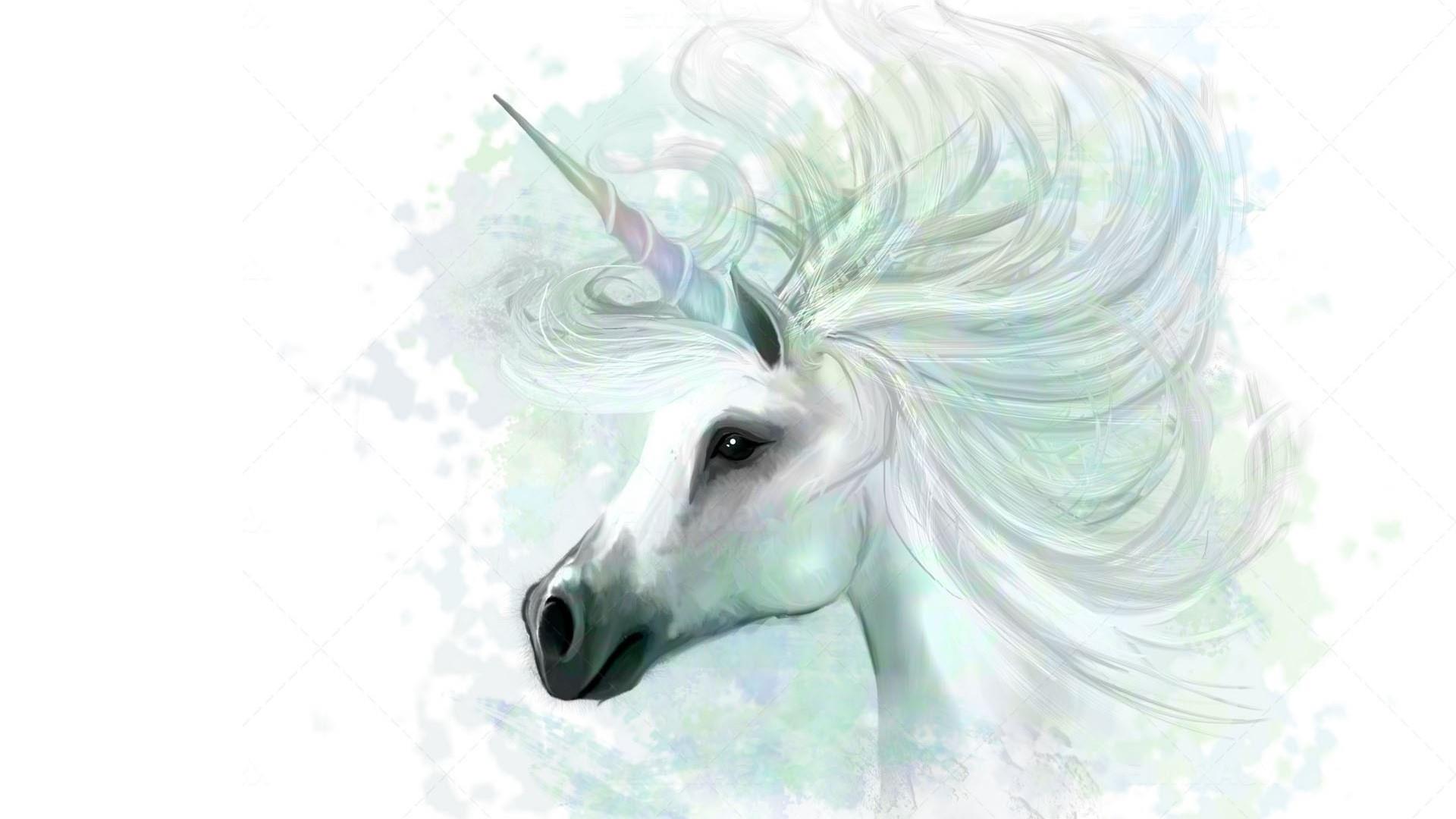 unicorn desktop background