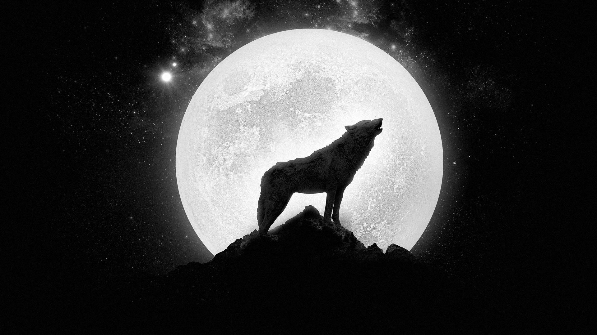 werewolf hd wallpaper