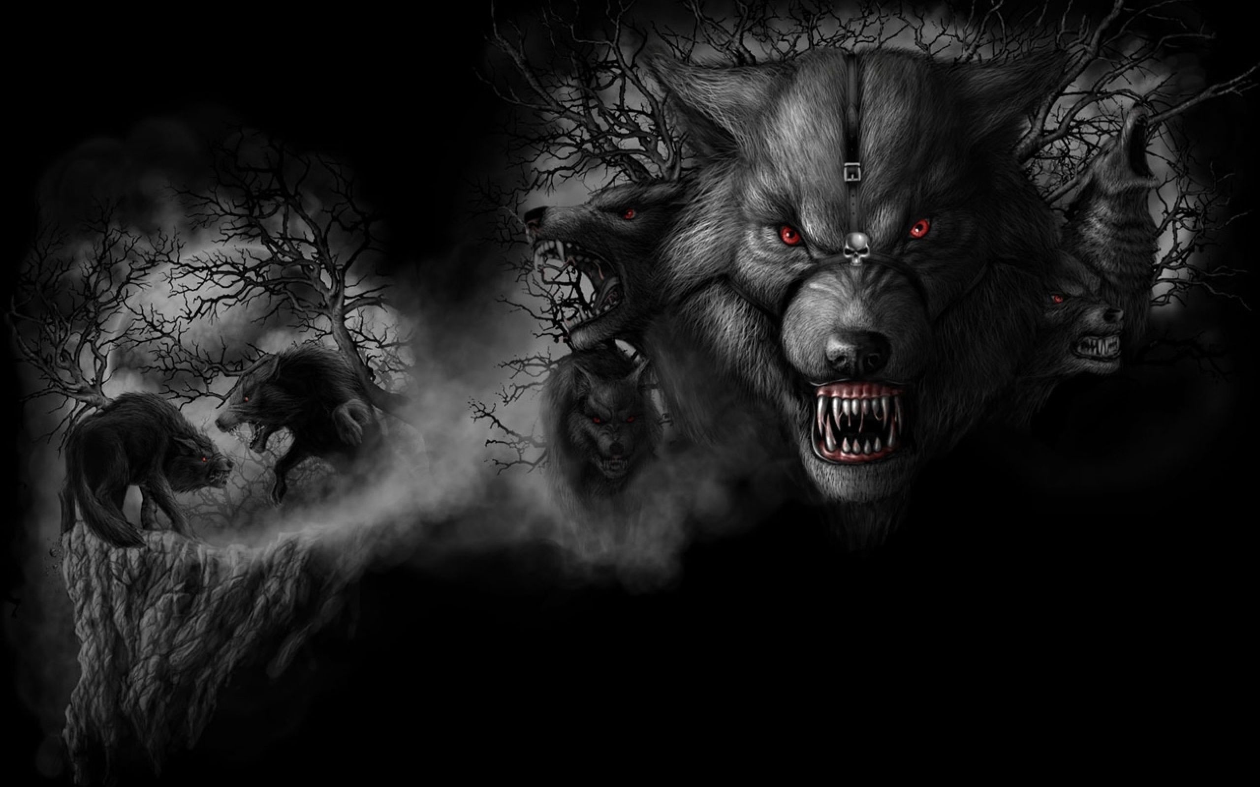 wolf black background
