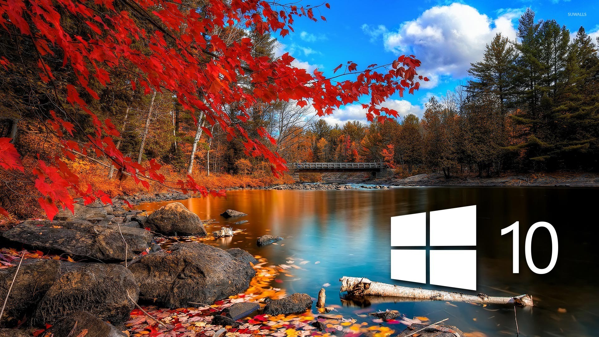 Windows 10 Wallpapers • TrumpWallpapers