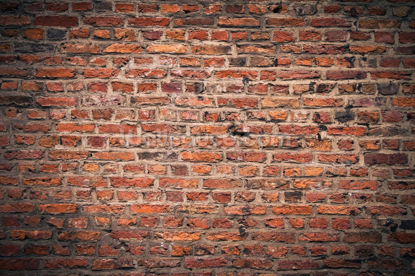 brick wall pictures