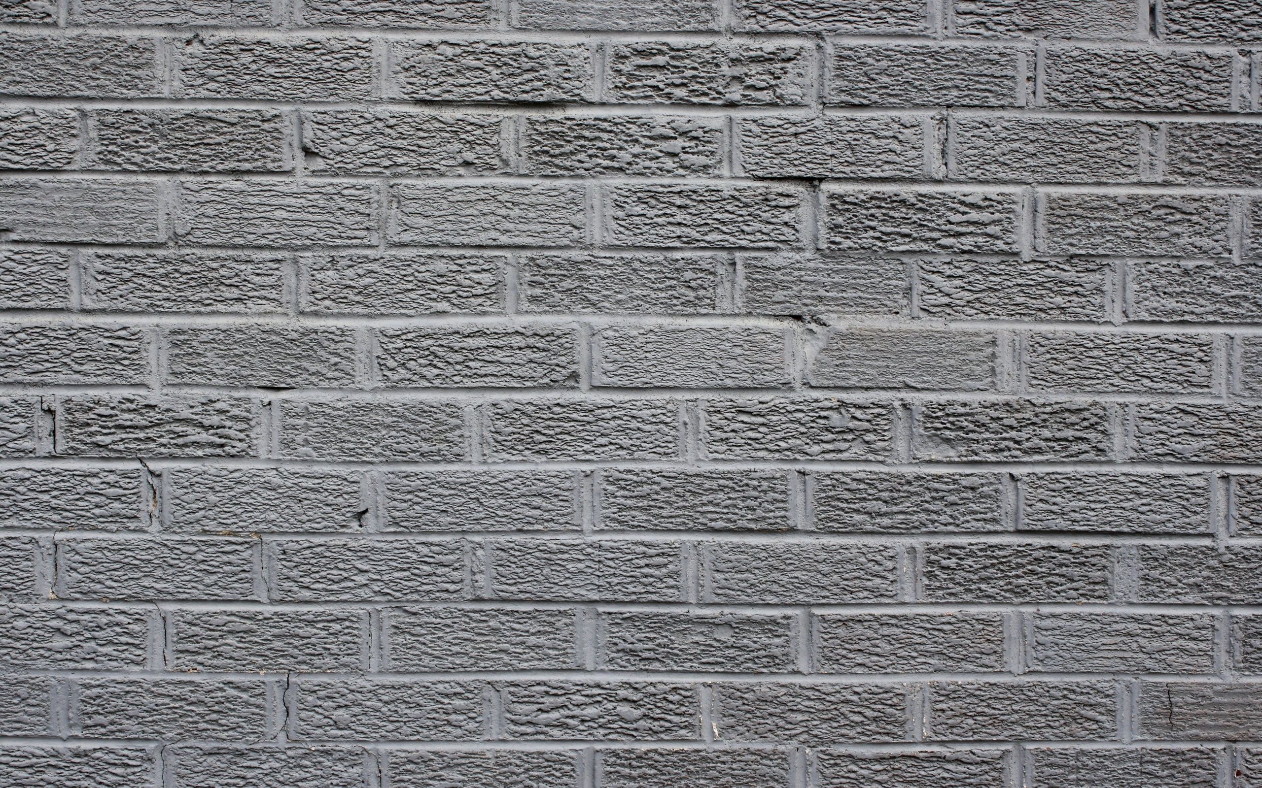 brick wall photoshoot