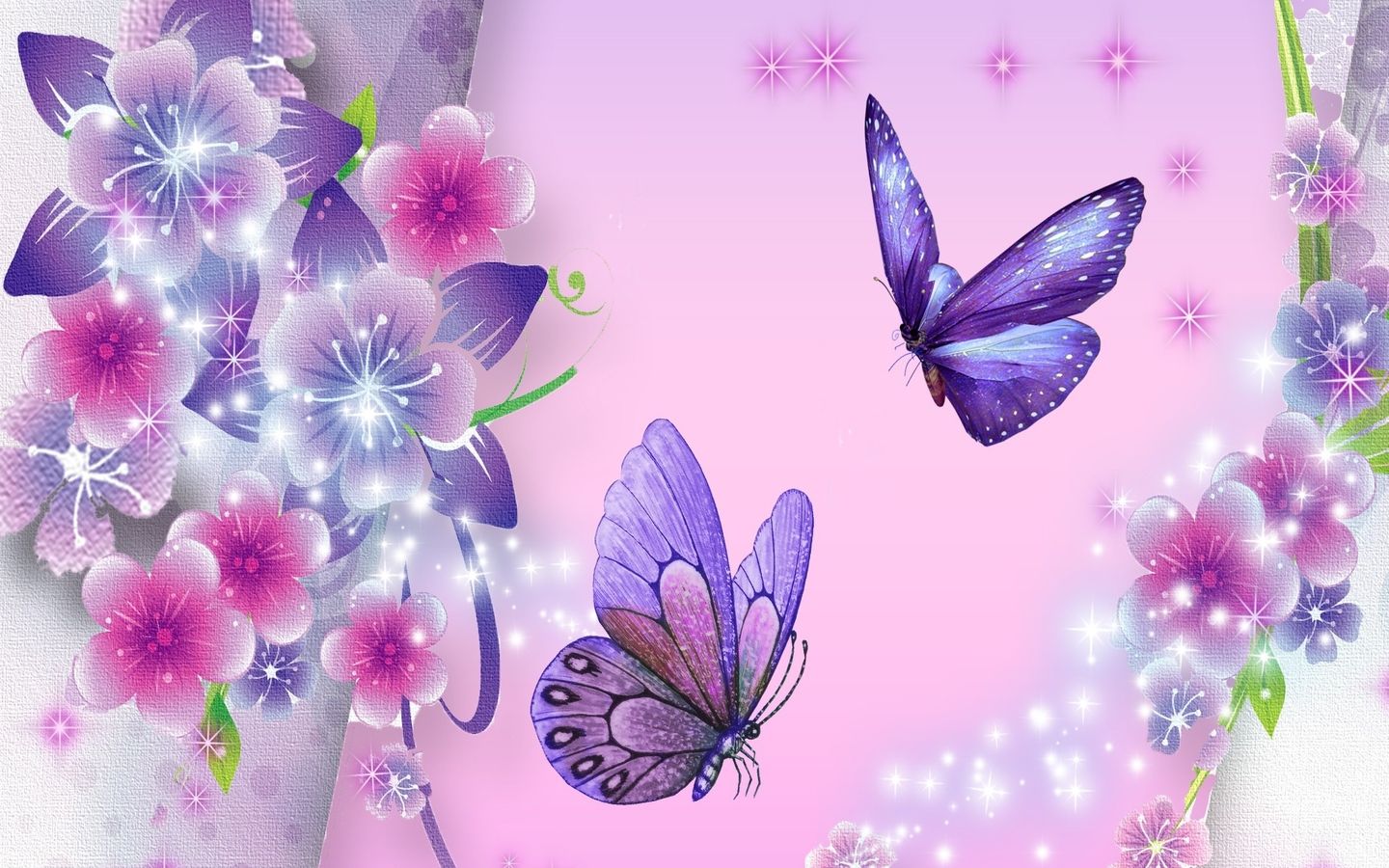butterfly hd wallpapers 1080p