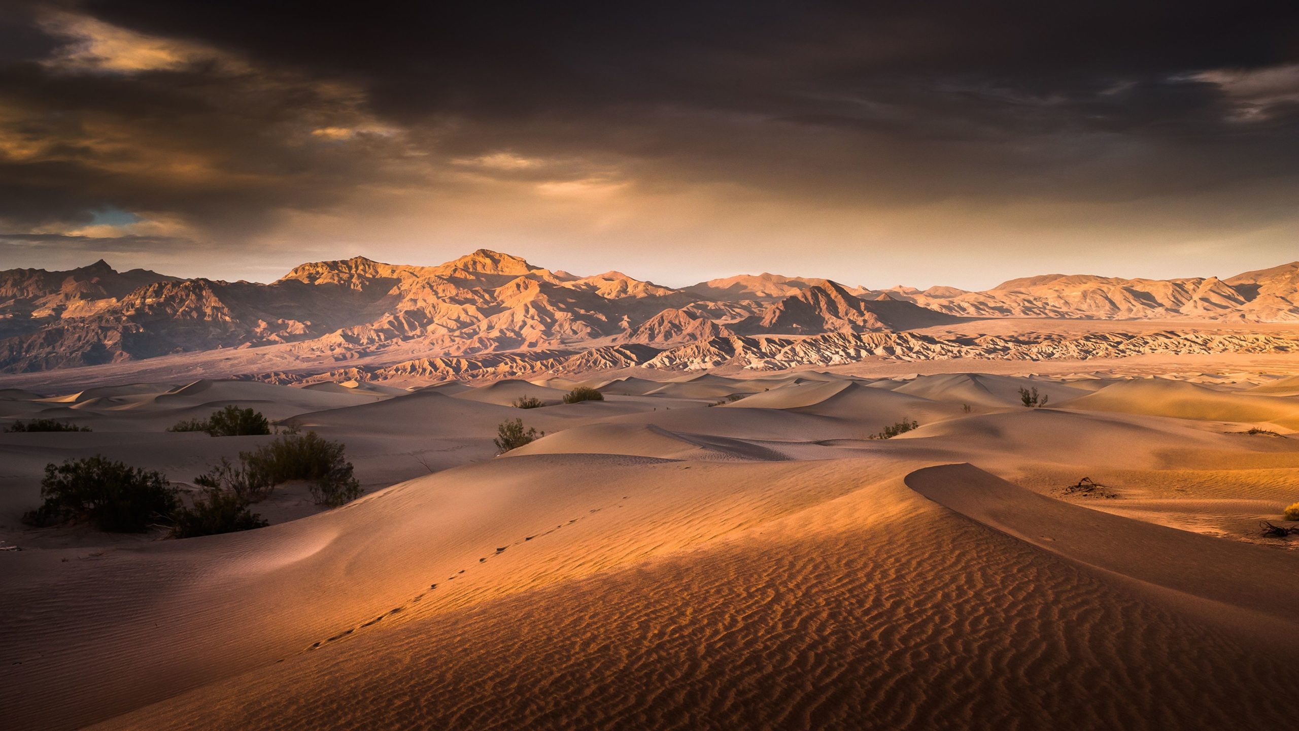 beautiful desert pictures