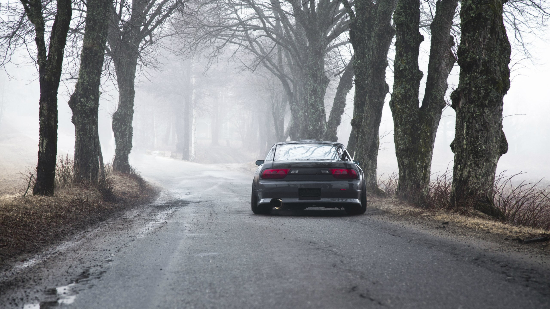 Black Car, Road, Smog, Winter, Trees, Smoke, Rain, Street, Weather