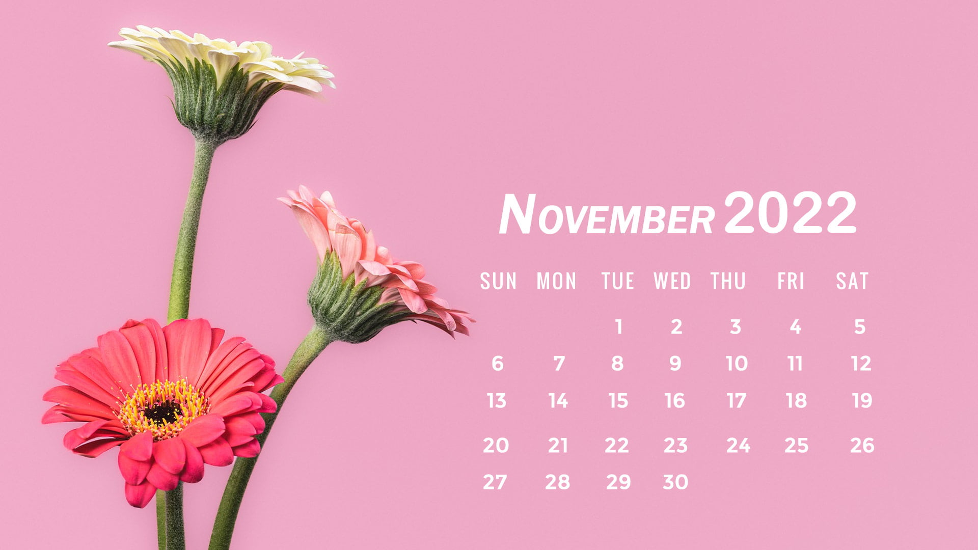 November 2022 Calendar Phone Wallpapers HD  PixelsTalkNet