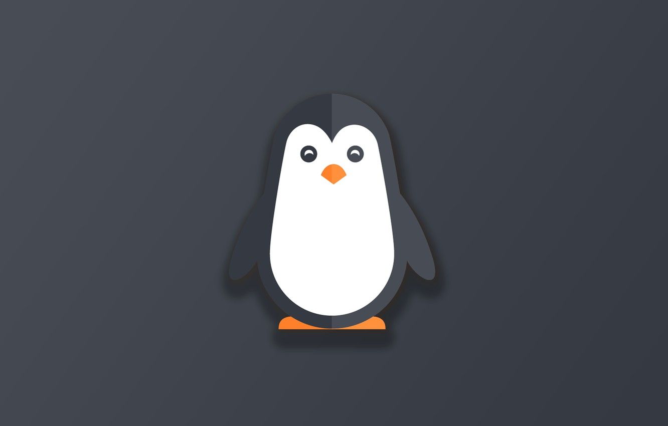 penguin desktop wallpapers