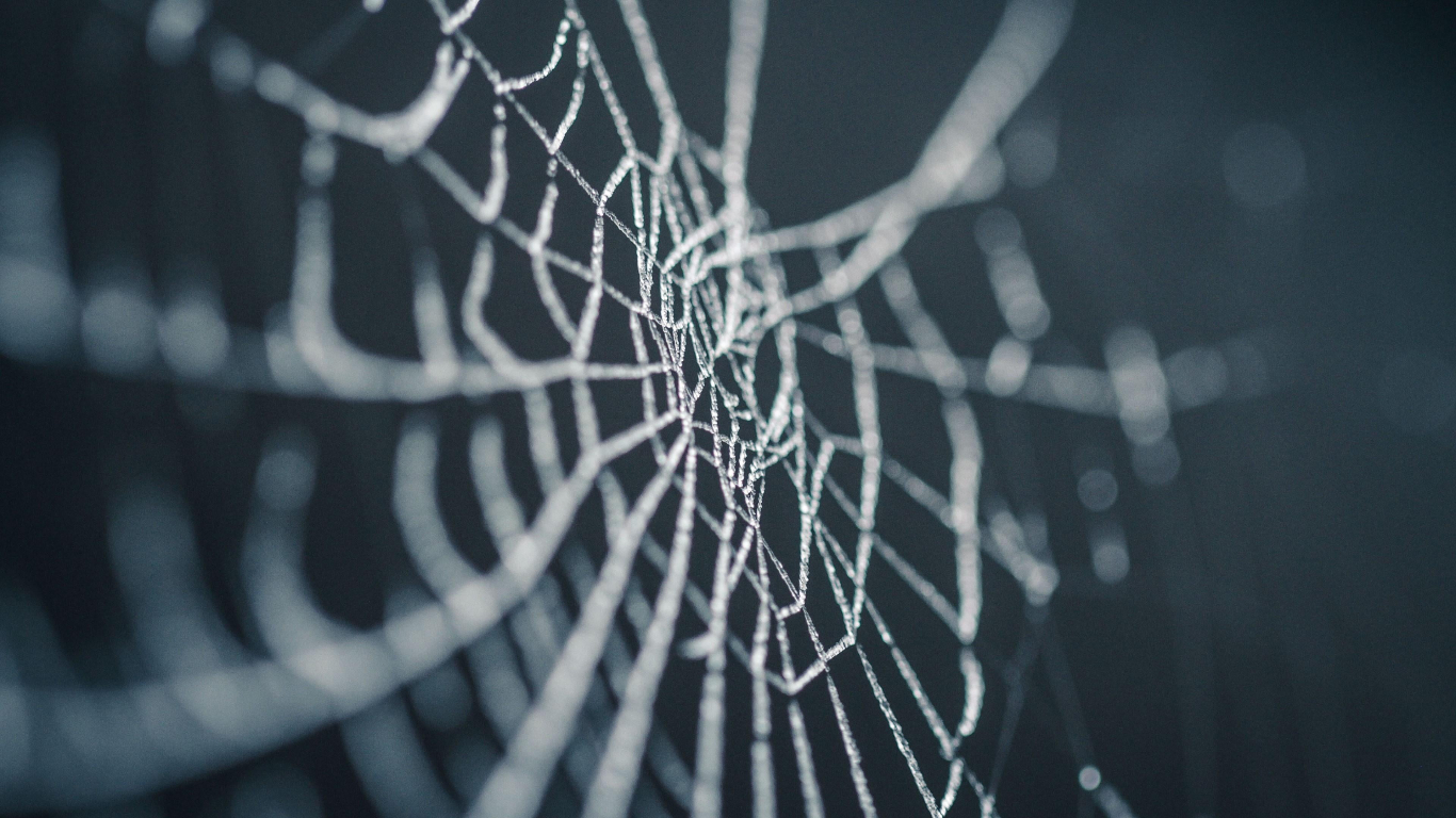 black spider web wallpaper