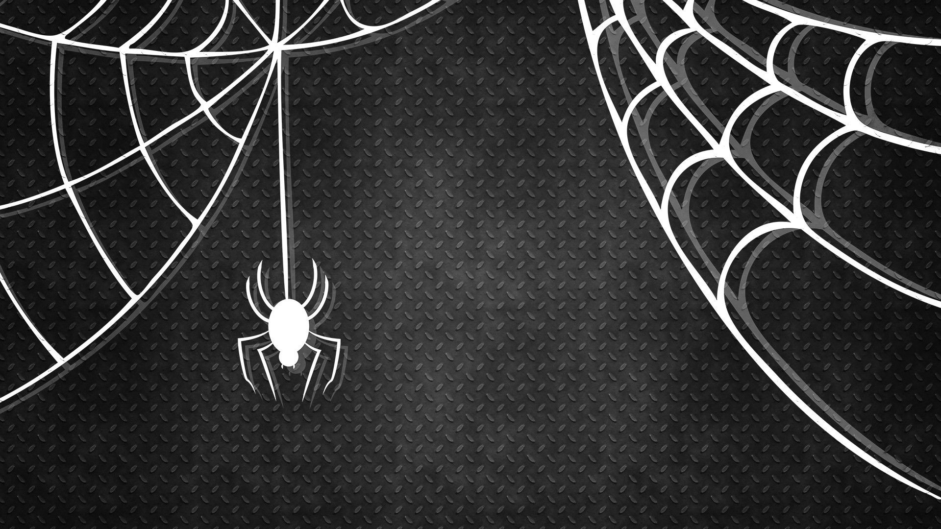 black and white spider web wallpaper