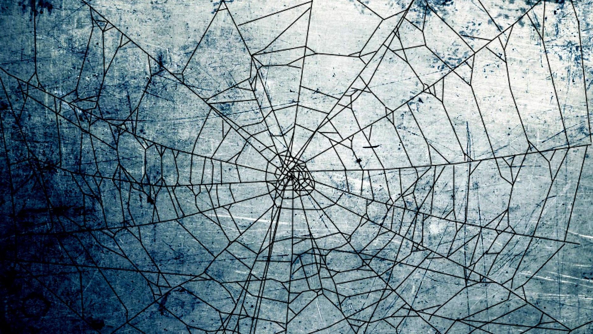 spider web cell phone wallpaper