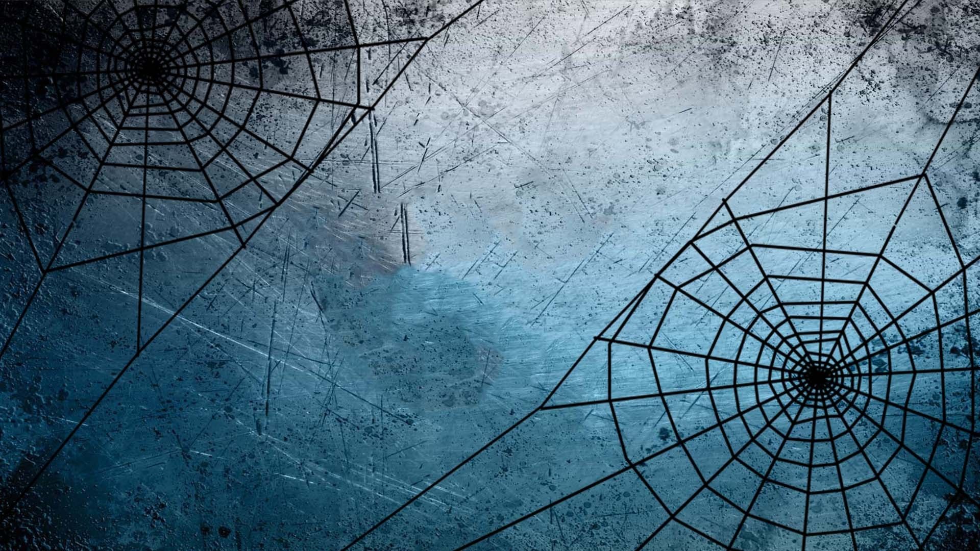 spider web wallpaper for walls