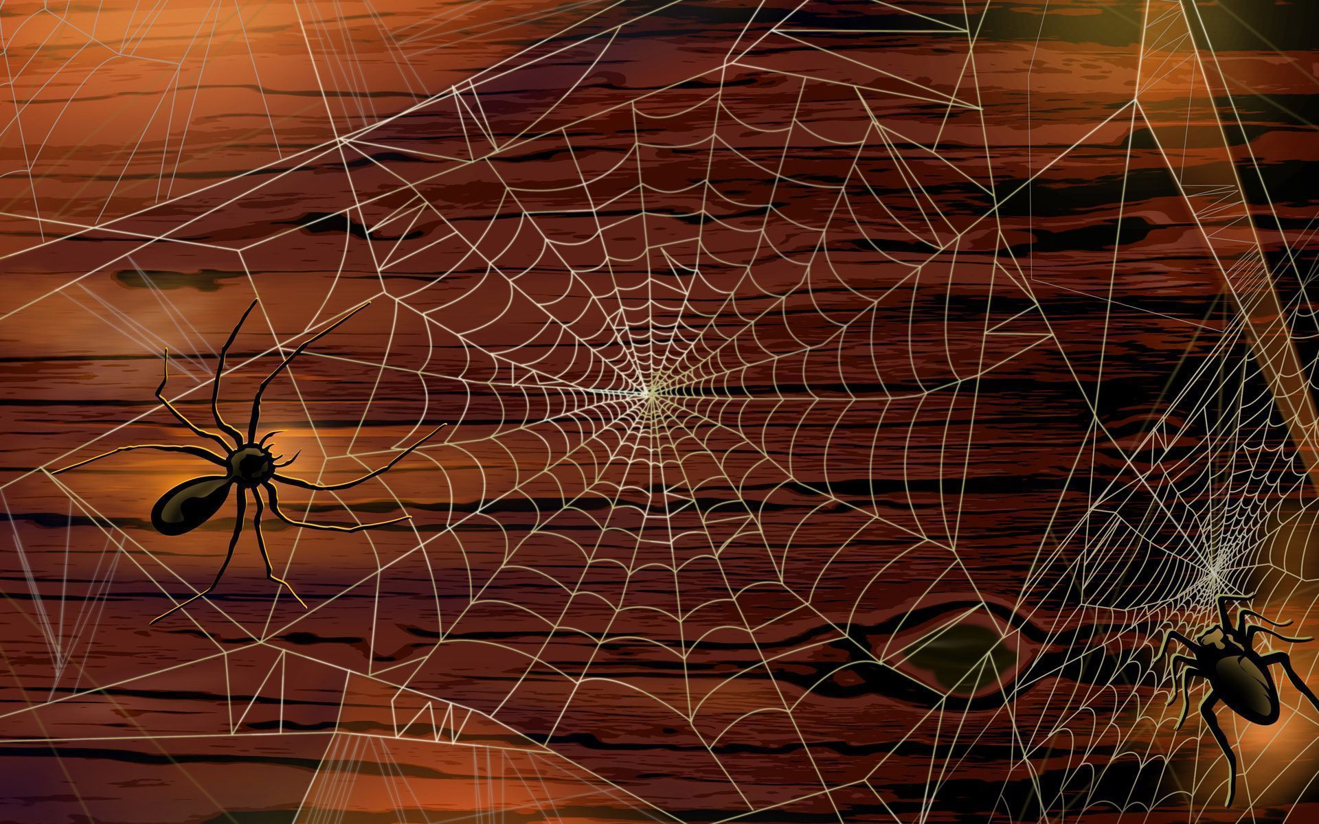 spider man web wallpaper