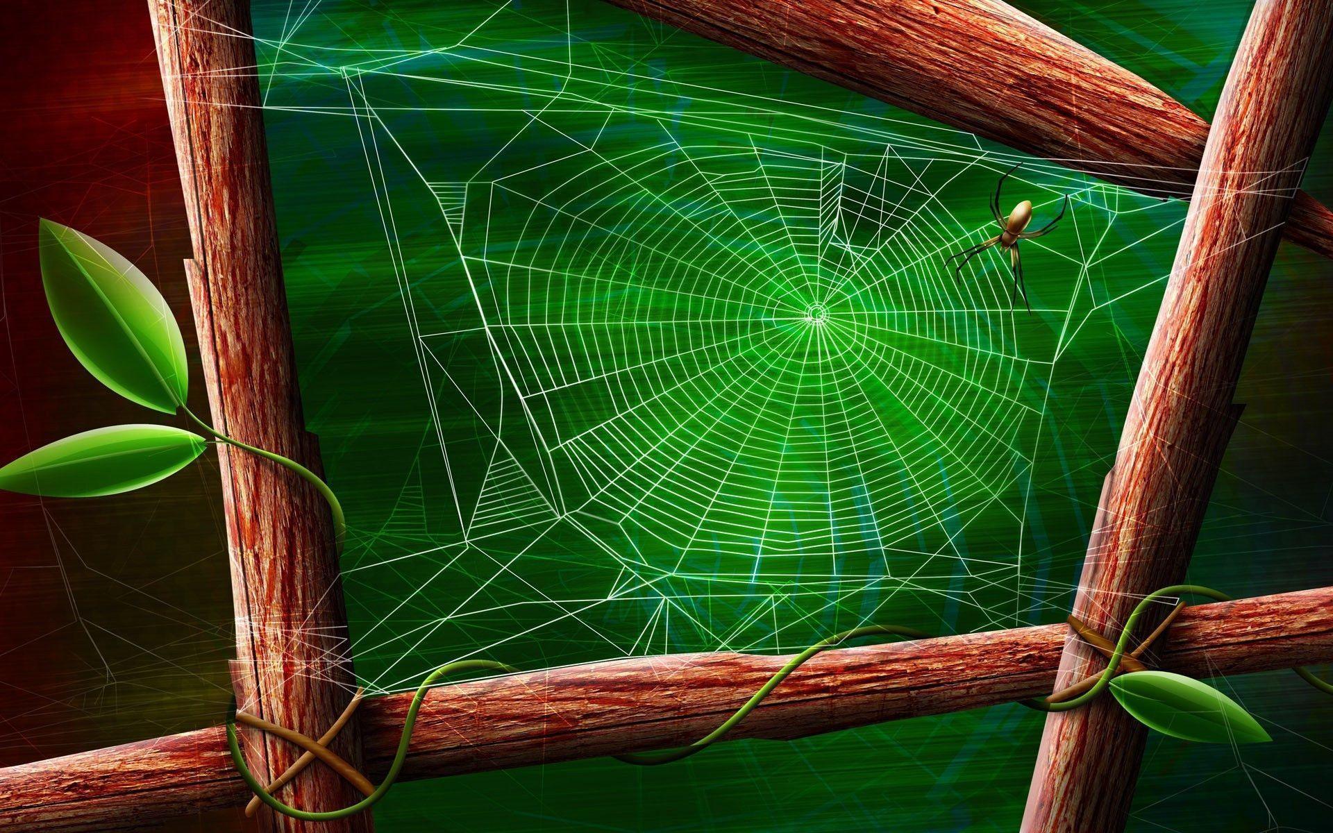 spider web laptop wallpaper