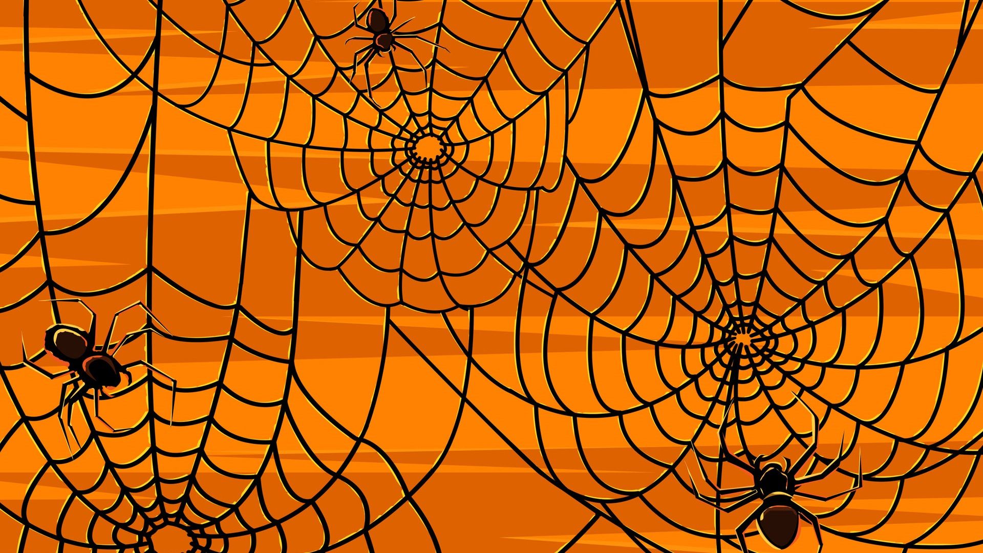 spider web wallpaper zoom background