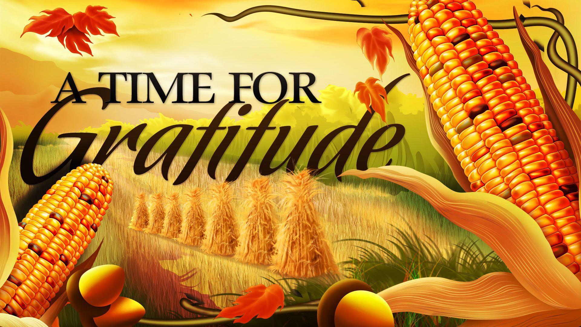 thanksgiving day wallpaper download free