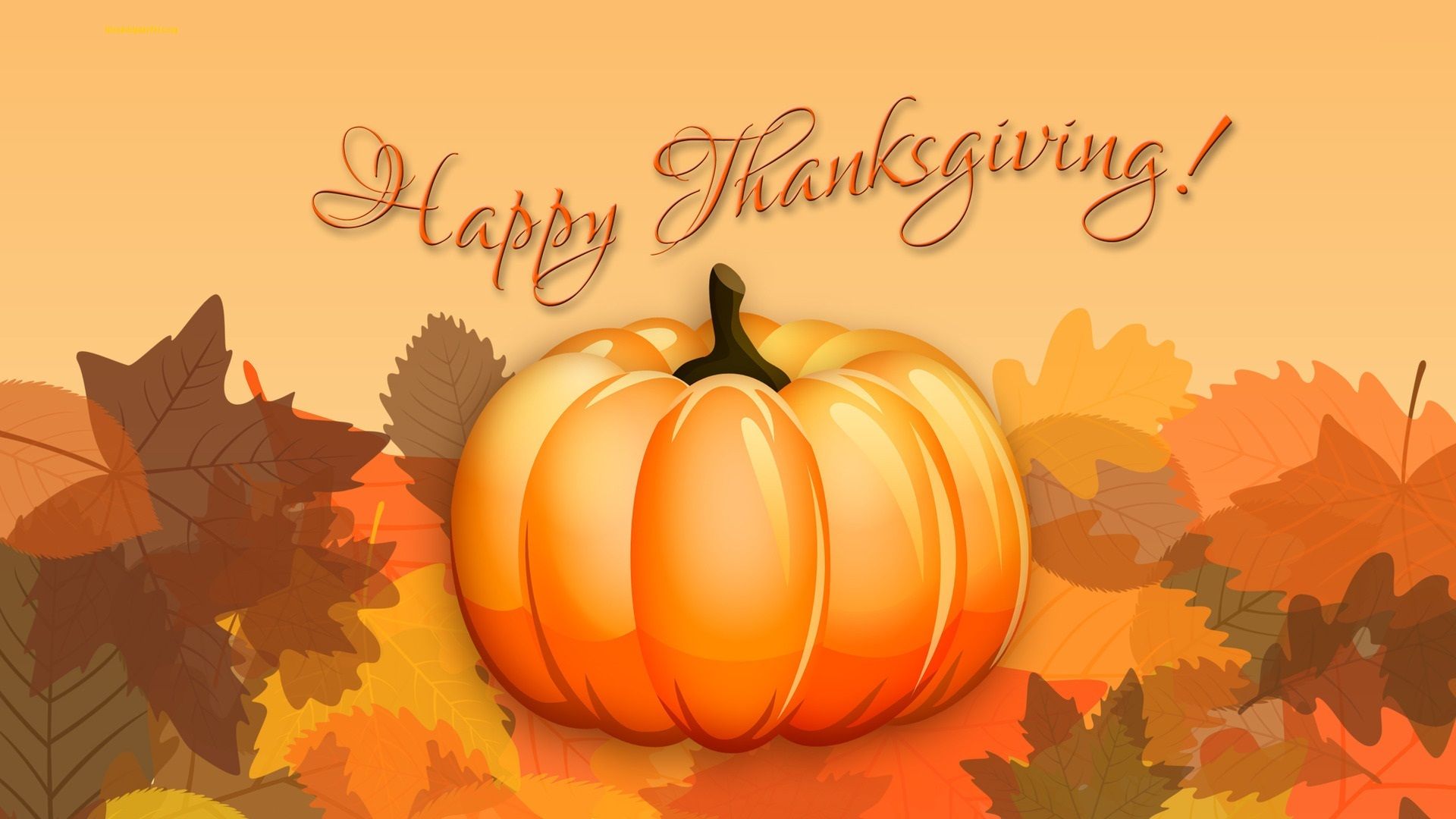 thanksgiving day wallpaper live