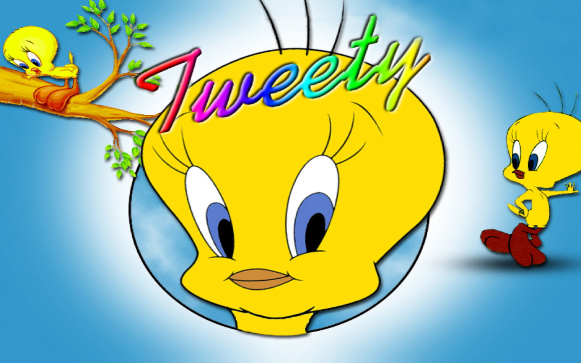 Tweety bird pic